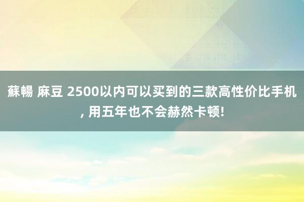 蘇暢 麻豆 2500以内可以买到的三款高性价比手机， 用五年也不会赫然卡顿!