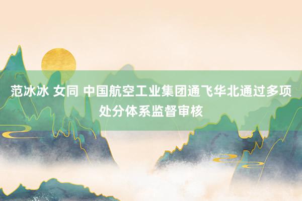 范冰冰 女同 中国航空工业集团通飞华北通过多项处分体系监督审核