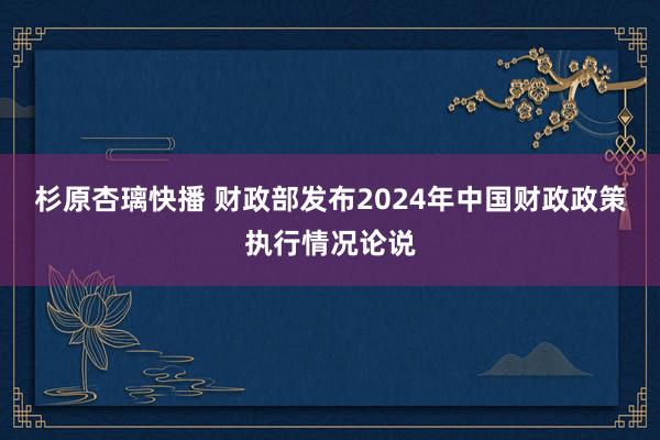 杉原杏璃快播 财政部发布2024年中国财政政策执行情况论说