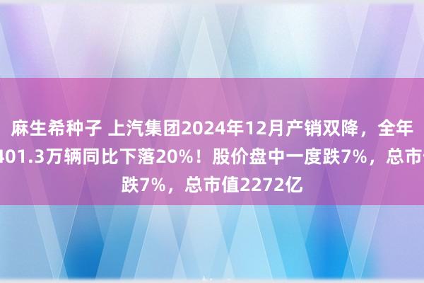 麻生希种子 上汽集团2024年12月产销双降，全年累计销量401.3万辆同比下落20%！股价盘中一度跌7%，总市值2272亿