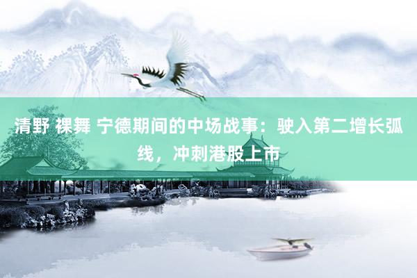 清野 裸舞 宁德期间的中场战事：驶入第二增长弧线，冲刺港股上市