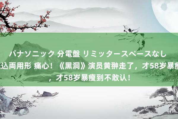 パナソニック 分電盤 リミッタースペースなし 露出・半埋込両用形 痛心！《黑洞》演员黄翀走了，才58岁暴瘦到不敢认！